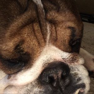 Meet your Posher, Marcus